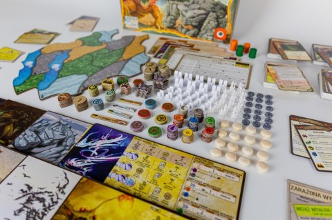 Gra Spirit Island: Rozdarta Ziemia Portal Games