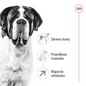 ROYAL CANIN SHN Giant Adult - sucha karma dla psa dorosłego - 15 kg (WYPRZEDAŻ)