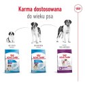 ROYAL CANIN SHN Giant Adult - sucha karma dla psa dorosłego - 15 kg (WYPRZEDAŻ)