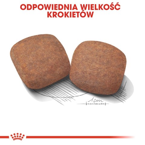 ROYAL CANIN SHN Giant Adult - sucha karma dla psa dorosłego - 15 kg (WYPRZEDAŻ)