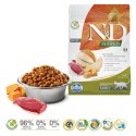 FARMINA N&D Pumpkin Cat Duck and Cantaloupe Melon Adult - sucha karma dla kota - 300 g