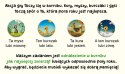 Gra Kurnik 2 - Cztery pory roku Nasza księgarnia