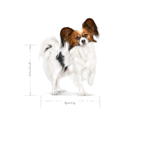 Royal Canin SHN Xsmall Adult 3kg