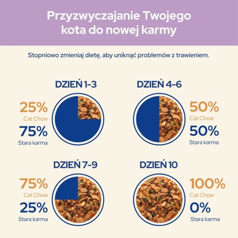 Purina Cat Chow Sensitive z łososiem i cukinią w sosie - mokra karma dla kota - 85 g
