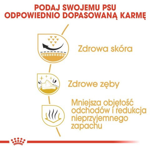 ROYAL CANIN BHN Shih Tzu Adult - sucha karma dla psa dorosłego - 7,5kg (WYPRZEDAŻ)
