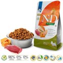 FARMINA N&D Pumpkin Dog Duck Cantaloupe Adult Mini - sucha karma dla psa - 2 kg