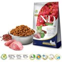FARMINA N&D Quinoa Dog Digestion Adult Mini - sucha karma dla psa - 800 g