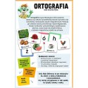Gra Ortografia Mały Odkrywca Trefl