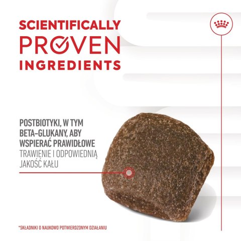ROYAL CANIN Digestion Adult Dog Supplements 160g