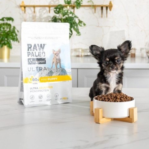 VetExpert Raw Paleo Ultra Indyk Mini Puppy 2kg (WYPRZEDAŻ)