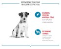 ROYAL CANIN Training Treat Dog 110g