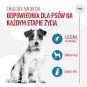 ROYAL CANIN Training Treat Dog 110g