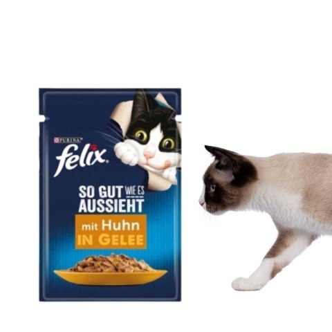 PURINA Felix MIX Smaków - mokra karma dla kota - 120x85 g