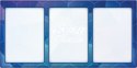Zestaw kart Terapagos ex Ultra-Premium Collection Pokemon TCG