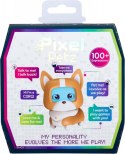 Pixel Petz, Corgi MGA