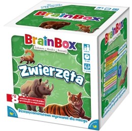 Gra BrainBox - Zwierzęta Rebel
