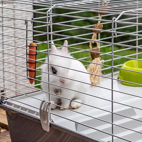 RABBIT 100 (x1) - klatka dla królików (WYPRZEDAŻ)