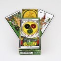 Karty Tarot Esoteric Bicycle