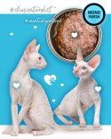 3Coty DUCK for Adult cats 80g