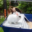 RABBIT 120 (x1) - klatka dla królików (WYPRZEDAŻ)