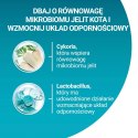 PURINA One Bifensis Coat & Hairball Kurczak - sucha karma dla kota - 800 g