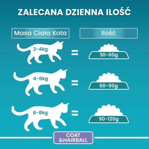 PURINA One Bifensis Coat & Hairball Kurczak - sucha karma dla kota - 800 g