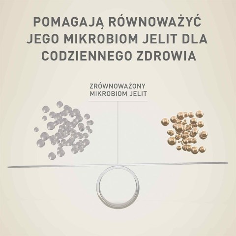 PURINA One Mini/Small Sensitive Łosoś, ryż - sucha karma dla psa - 800 g