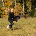 Zestaw Skippi - Hobby Horse Gniady - Derka i nauszniki - różowa i szara