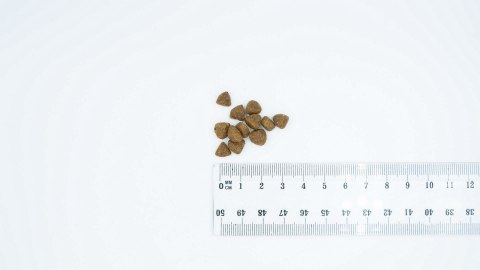 BULT Karma sucha z kaczką i indykiem szczenięta 12kg