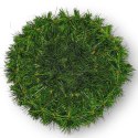 PODKŁAD SZTUCZNY FLORYSTYCZNY BAZA POD STROIK WIENIEC WIĄZANKĘ 50cm