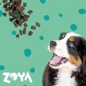 ZOYA COLDPRO Jeleń sucha karma dla psa 9kg