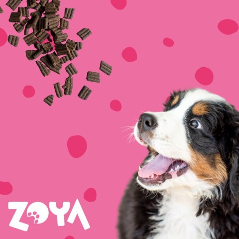 ZOYA COLDPRO Wołowina sucha karma dla psa 3kg