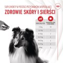 ROYAL CANIN Skin & Coat Adult Dog Supplements 240g