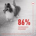 ROYAL CANIN Skin & Coat Adult Dog Supplements 240g