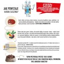 Dolina Noteci Premium Wołowina sucha karma dla psa 3kg