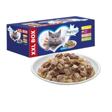 PREVITAL - Z kurczakiem, cielęciną, łososiem i wątróbką w sosie - karma dla kota 48x100g