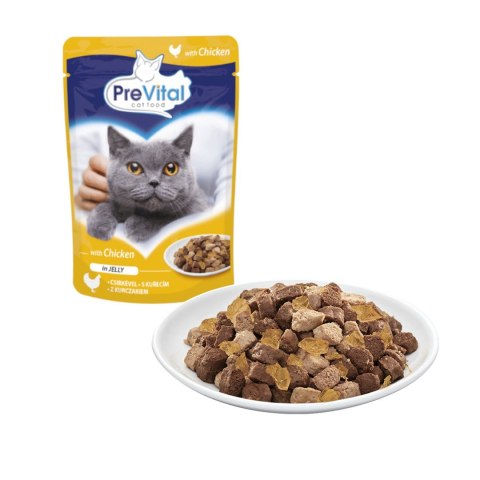 PREVITAL kurczak w galaretce dla kotów 100g