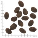 WOLFSBLUT Wild Pacific Adult fish/potatos 12,5kg