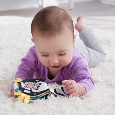 Rozkołysana Wyderka 2w1 Fisher Price