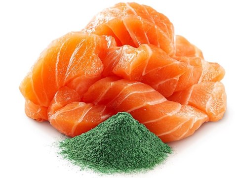 SHELMA saszetka z łososiem i spiruliną dla kota 85g