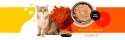 3Coty CHICKEN + KRILL for Adult cats 180g