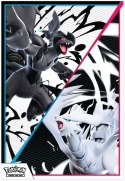 Karty Scarlet & Violet White Flare & Black Bolt Unova Poster Pokemon TCG