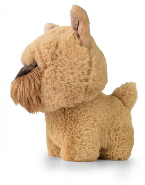 Maskotka TEDDY PETS Gryfonik brukselski Daffi