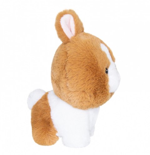 Maskotka TEDDY PETS Króliczek złoty Daffi