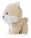 Maskotka TEDDY PETS Pomeranian Daffi