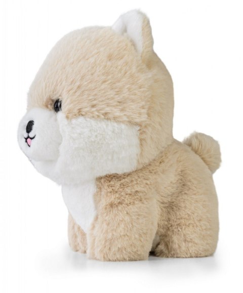 Maskotka TEDDY PETS Pomeranian Daffi
