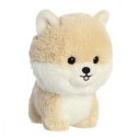 Maskotka TEDDY PETS Pomeranian Daffi