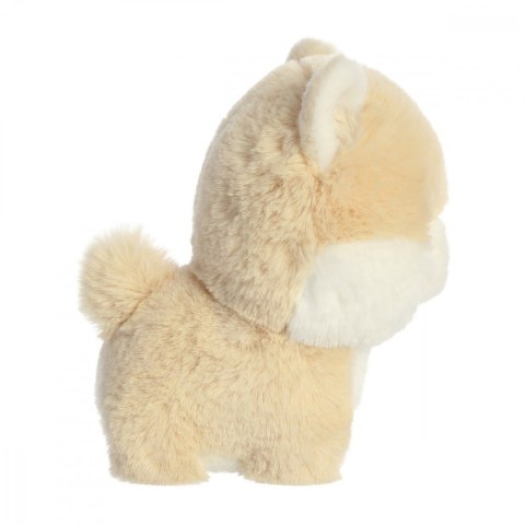 Maskotka TEDDY PETS Pomeranian Daffi
