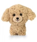 Maskotka TEDDY PETS Złoty pudel Daffi
