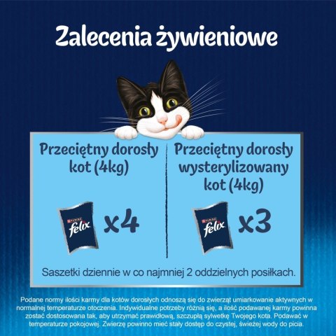 PURINA FELIX FANTASTIC Mix Wiejskie smaki 120x85g